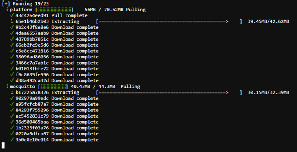 Startup log output of the JWT plugin container