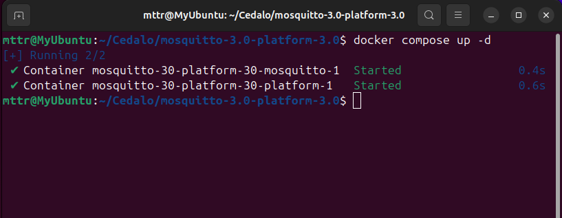Pro Mosquitto broker starts